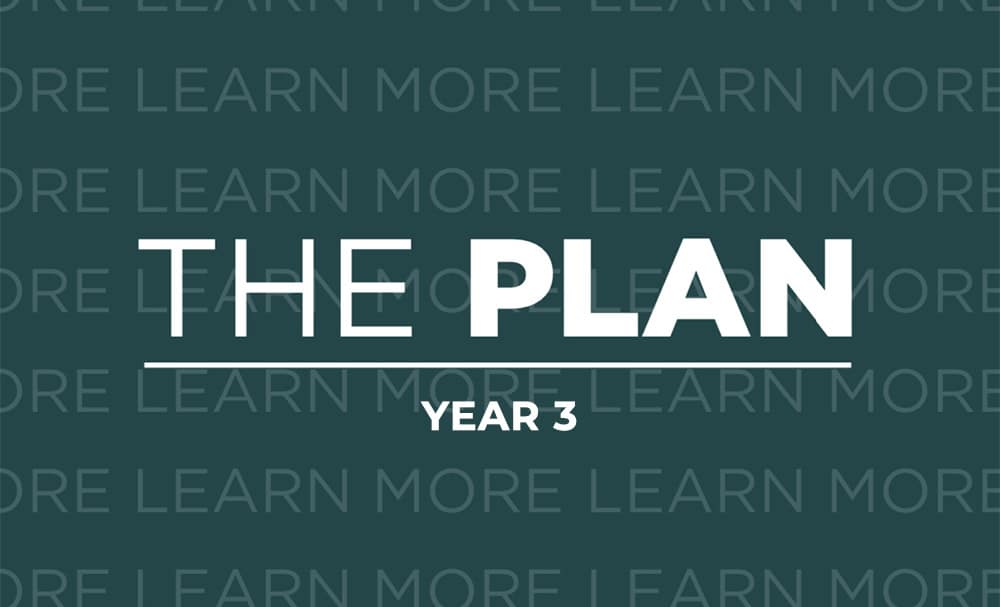 The Plan - Year 3